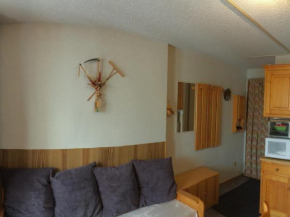 Studio 4 pers., pied des télésièges, balcon sud, calme, proche commerces - FR-1-416-66 Fontcouverte-La Toussuire